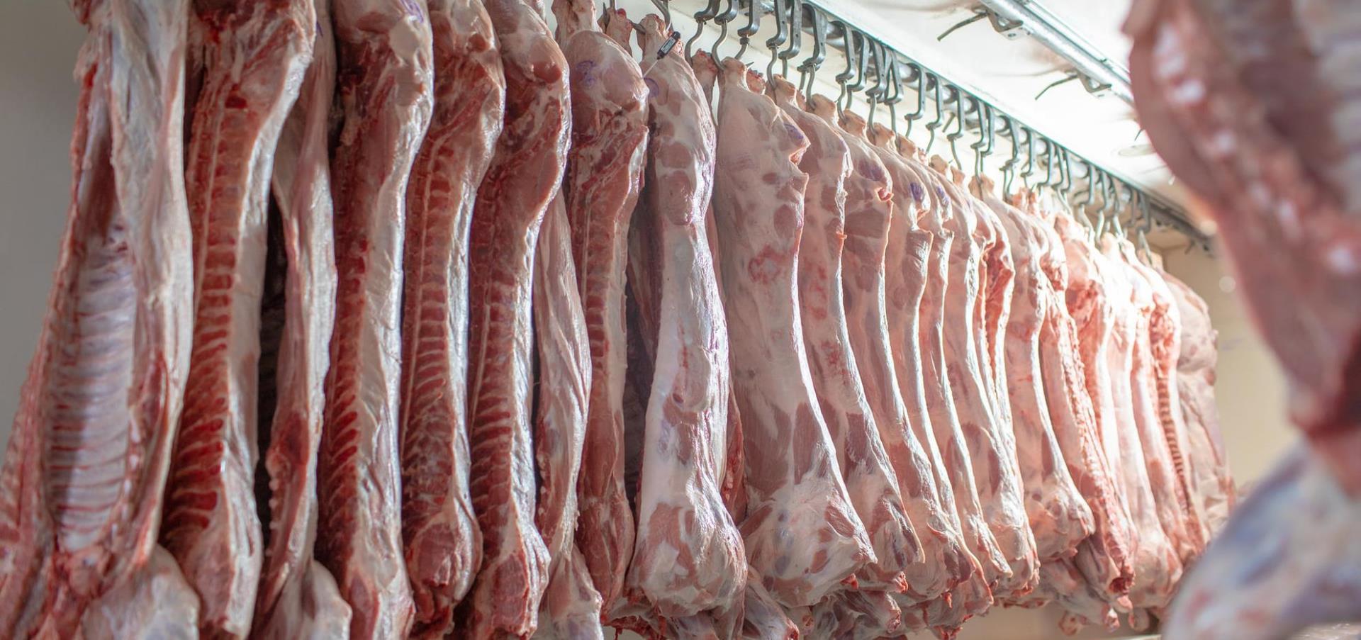 Hanging meat transport uk to europe