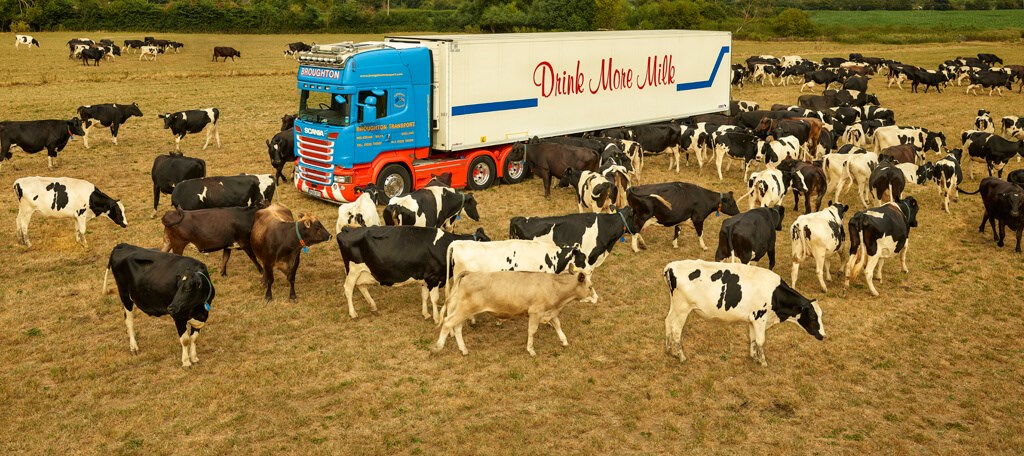 Transporting milk in the UK